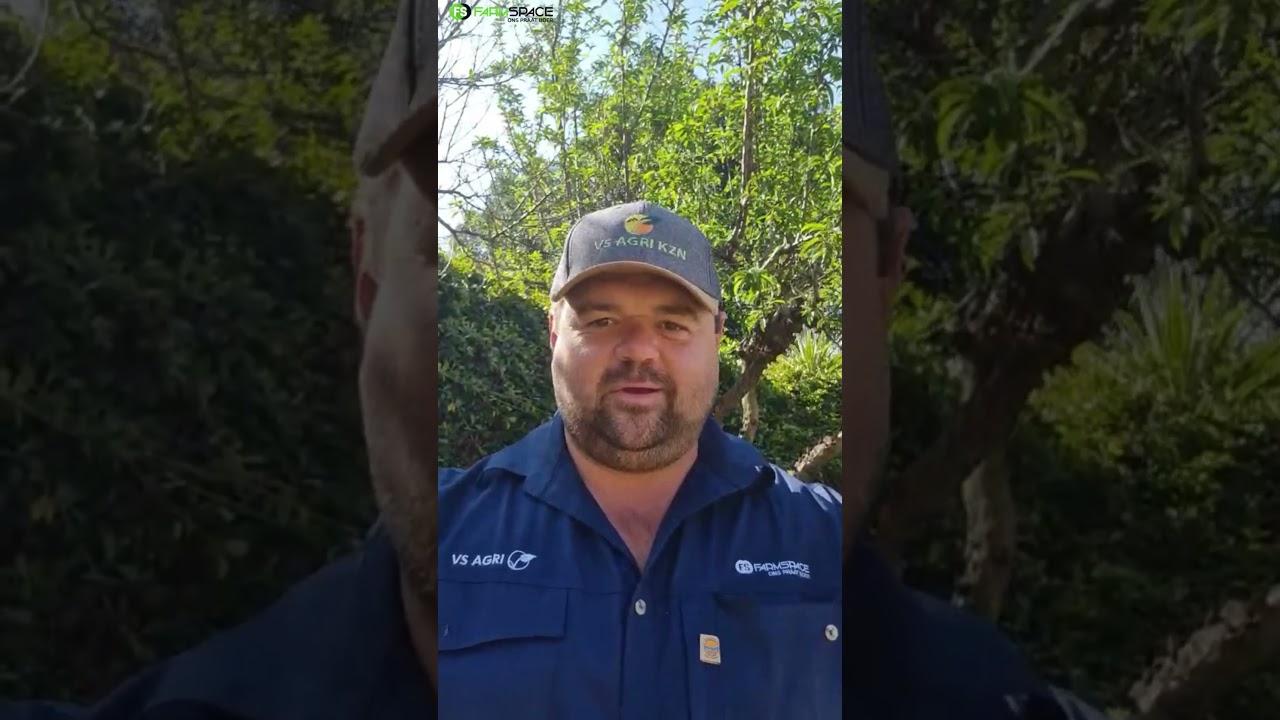 Hier is die eerste luidraad vir die virtuele toer se skattejag.