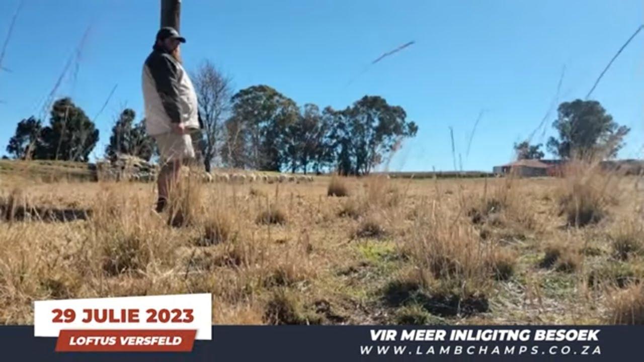 Lamb Champs 2023! Ons is hard opsoek na die beste lamsvleis in Suid-Afrika...