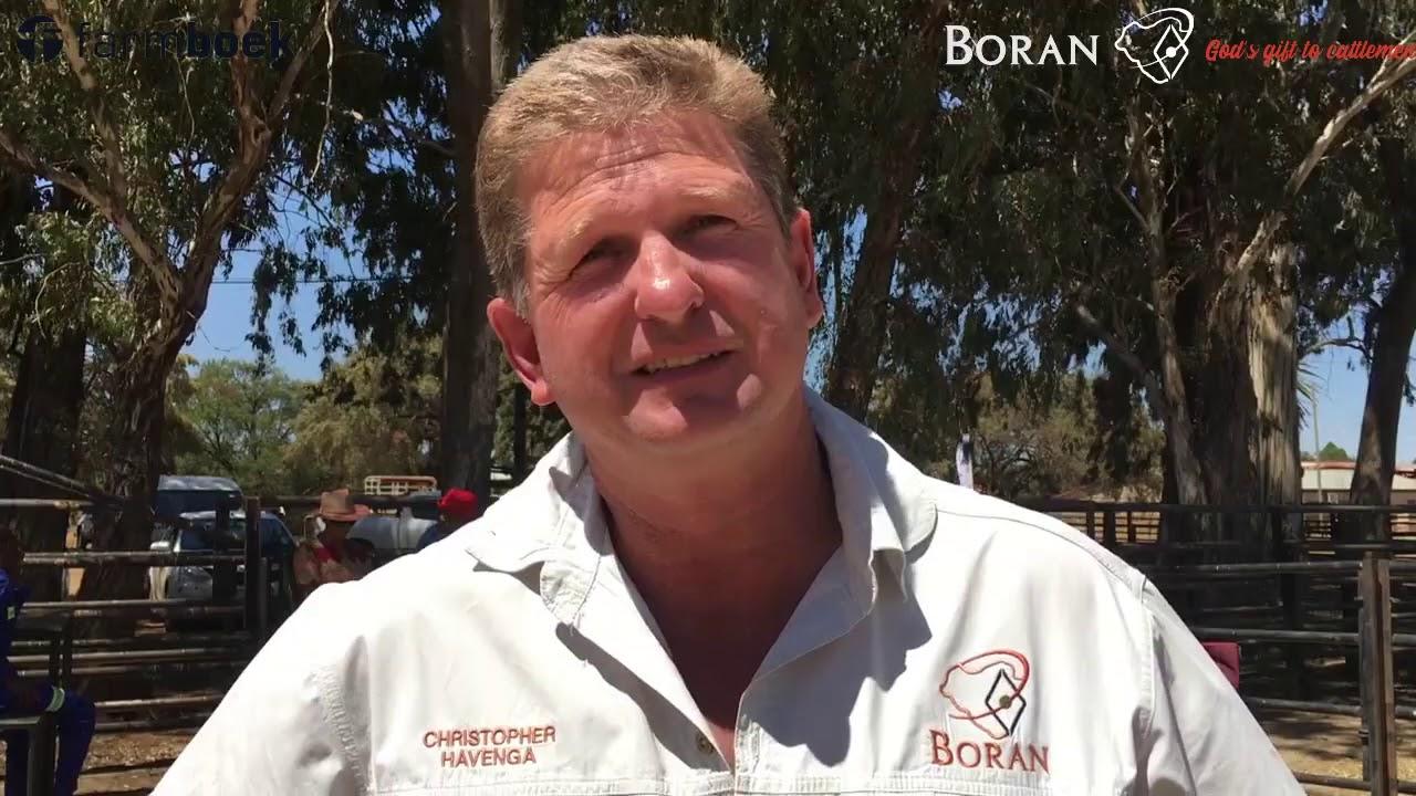 Boran Cattle Breeders Society in the North West with a difference.