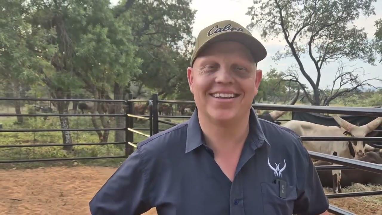 JP van Veewinkel op die vooraand van die NTABA NYONI veiling 2024