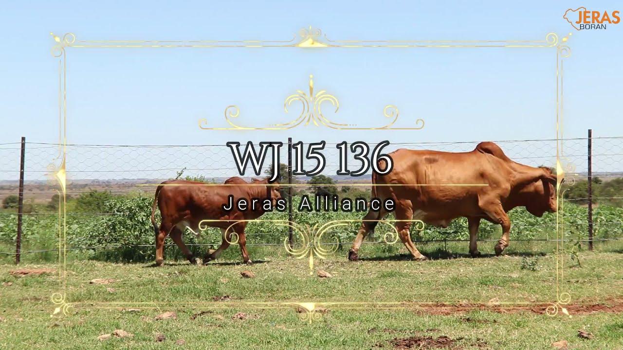 Jeras Alliance Boran Auction WJ 15 136