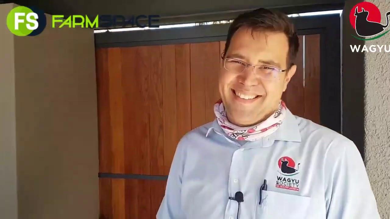 Wagyu as a breed to farm with in South Africa.