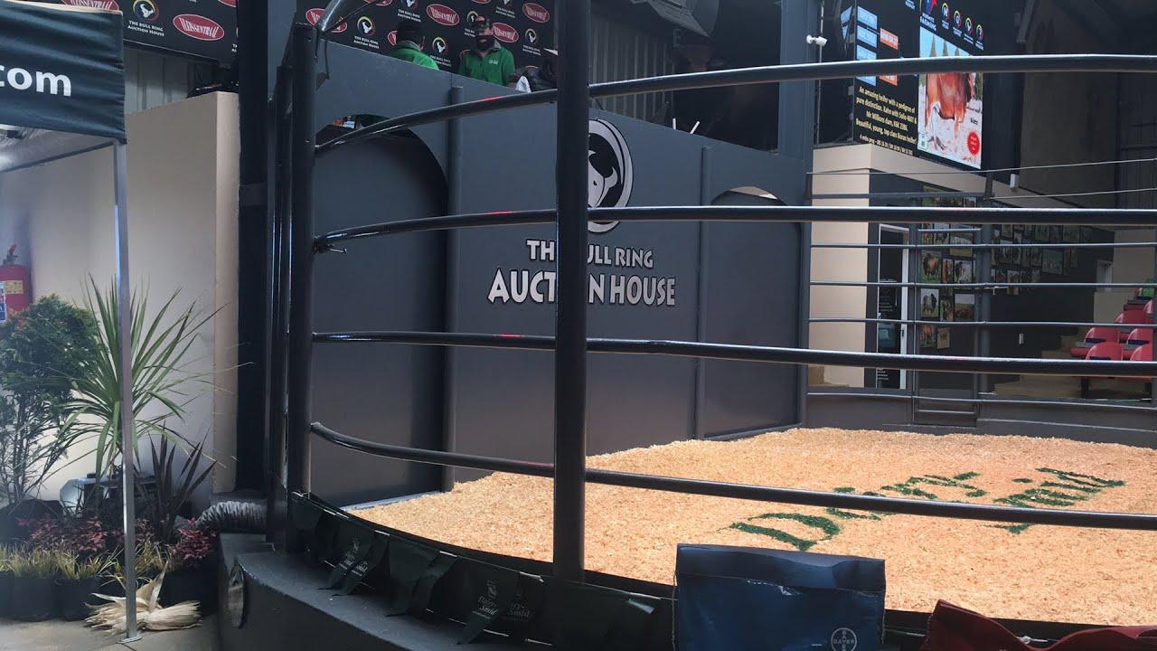 Hurwitz Boran Production Auction