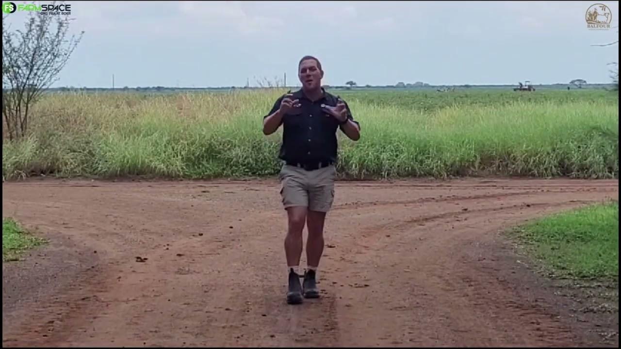 Dit is tyd vir die Balfour Hooidag 2024!