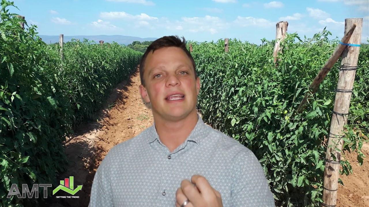 Packaging and the Fresh Produce market - 25 Sept 2019