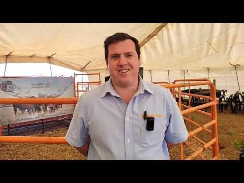 Steven Matthews van Karoo-Ochse Vryburg Edms Bpk gesels met ons oor The Selection Sale.