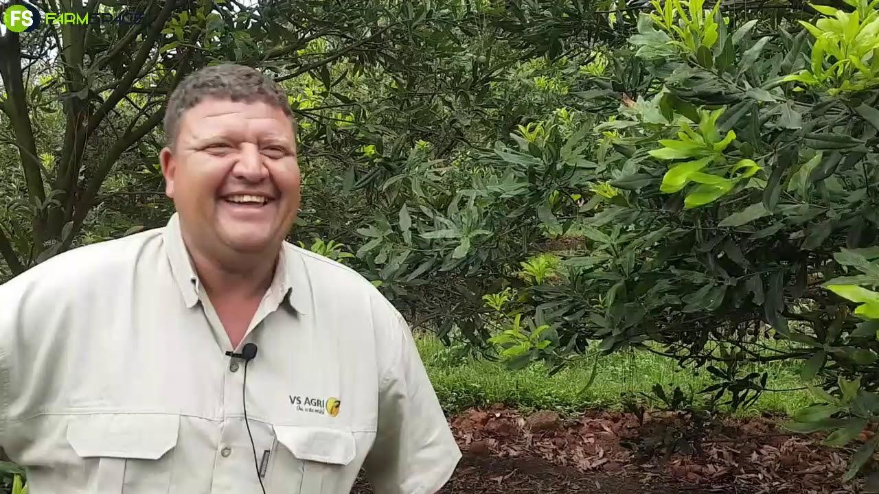 Avison - Henry van Nelspruit