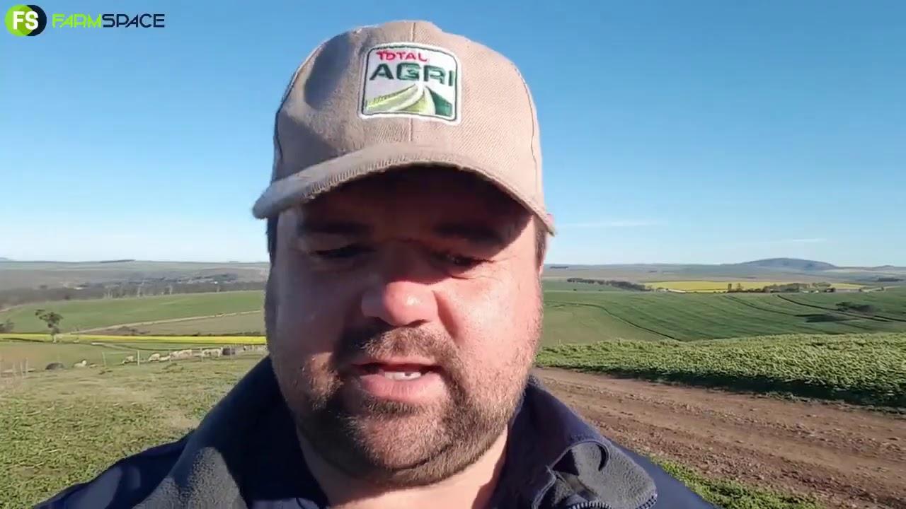 Nampo Virtual 2020