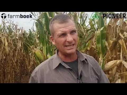 Pioneer Supplemental Irrigation test