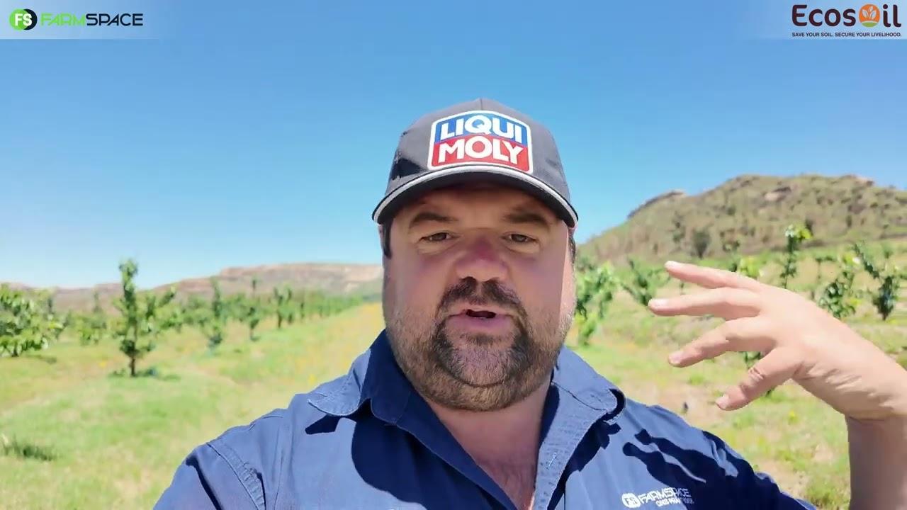 Hoe boer 'n mens beter saam met die natuur? Kom vind uit 10 Desember 2024 by Ecosoil se boeredag.