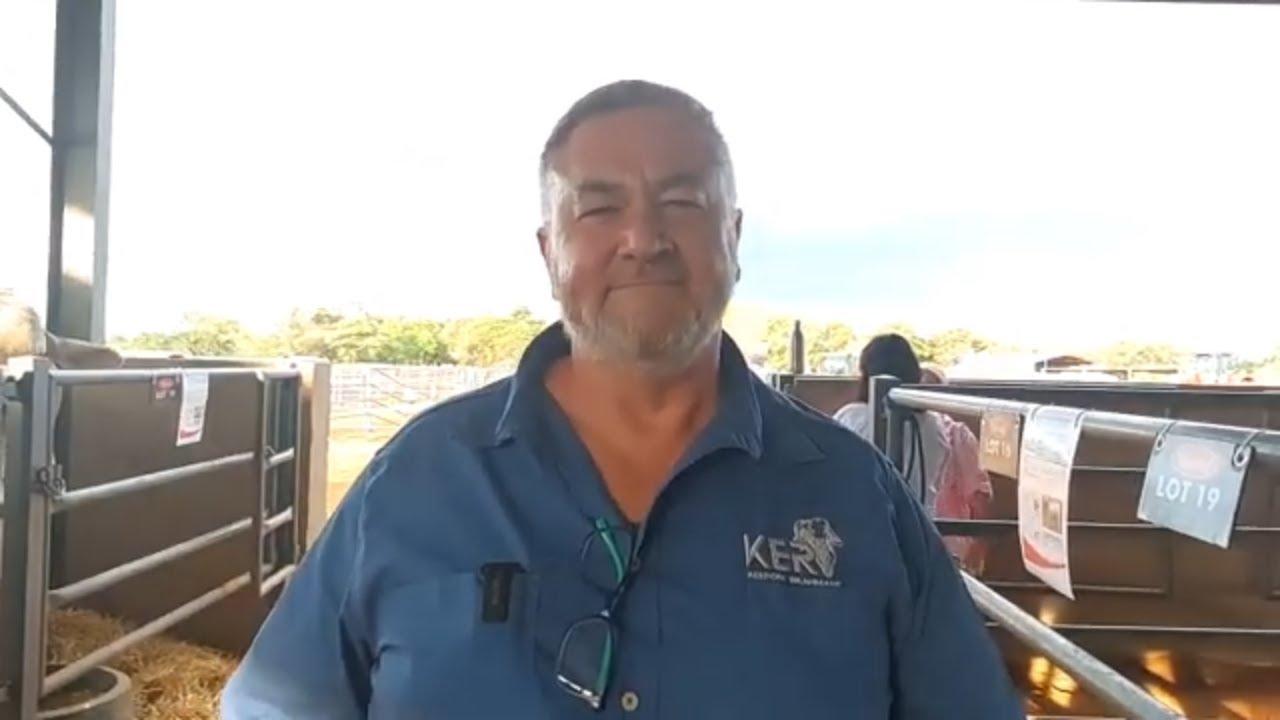 Marius de Beer van Keerom Brahmane, by Louma Boerdery se Nedibest Brahman Veiling 2024