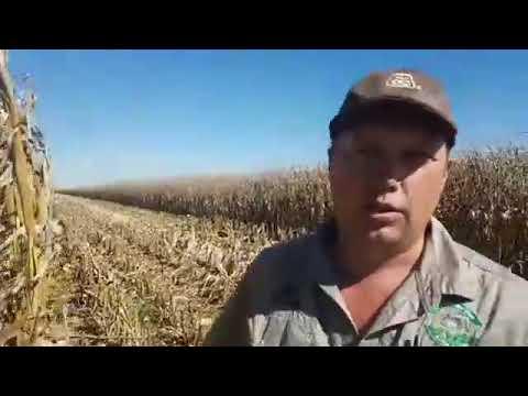 Liaan from Pioneer Seed SA is at the Harvester Race 2019