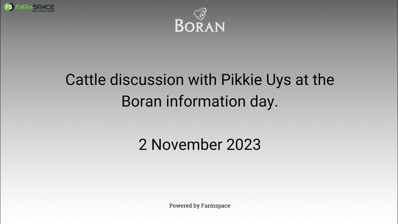 Cattle discussion with Pikkie Uys at the Boran information day 2023