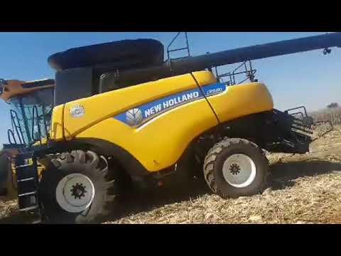 Harvester Race 2019 - Everybody is preparing