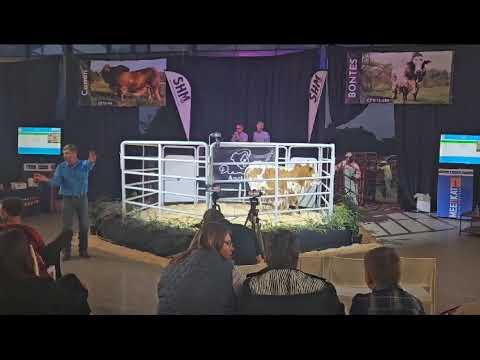 Lot 5 verkoop vir n allemintige R 220 000 - Diamond Boran Auction