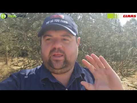 Claas 5 Augustus 2021