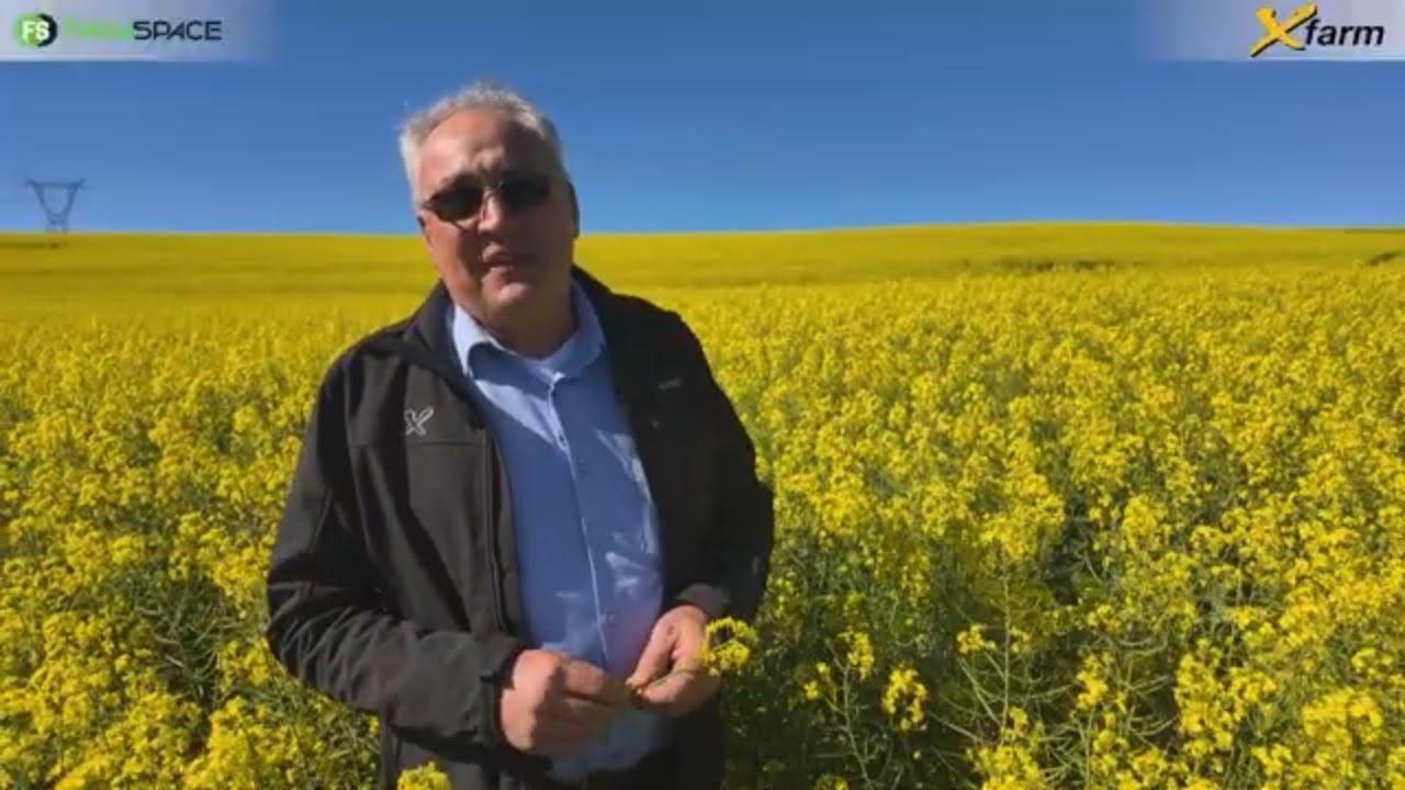 Wat doen xFarm presies en hoe gaan hulle vir jou waarde toevoeg?
