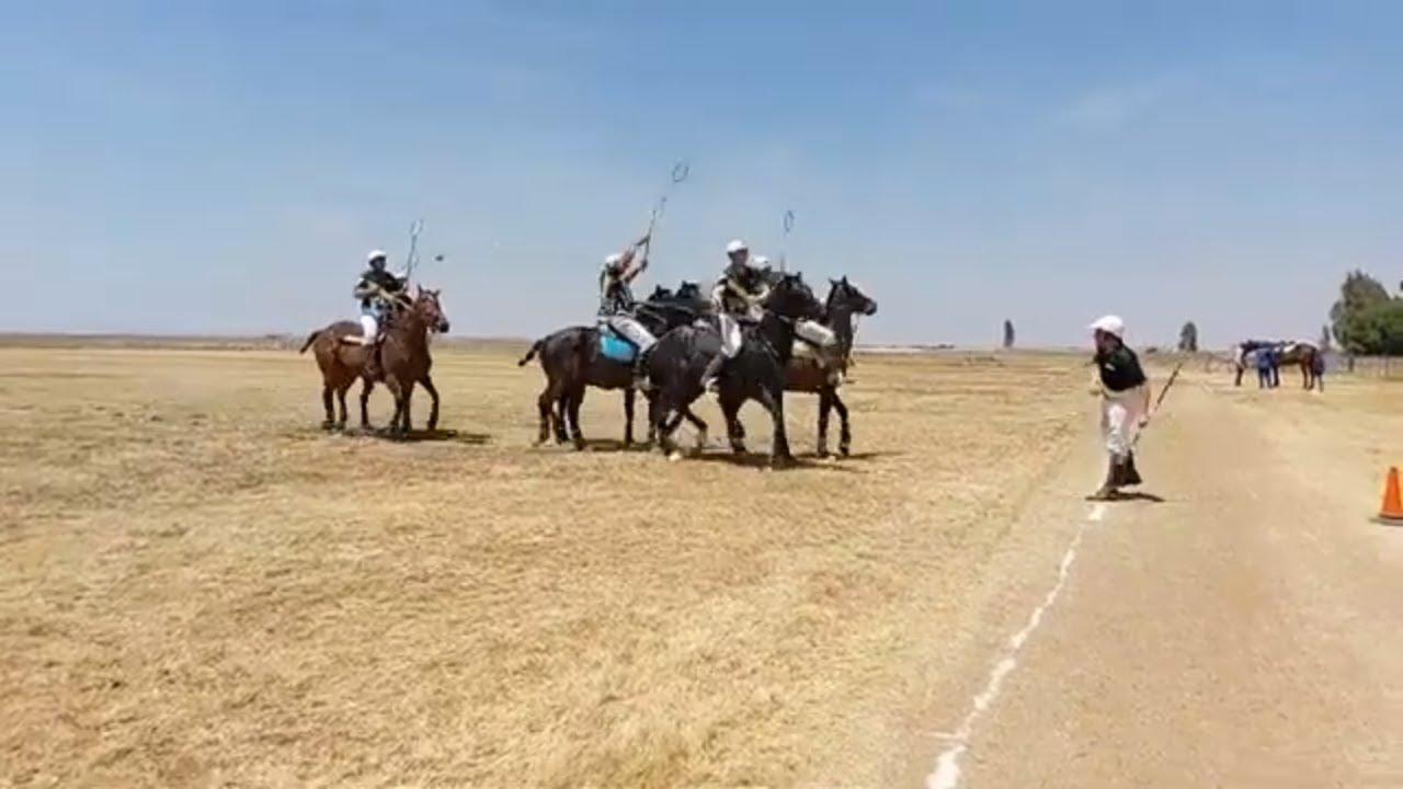 Hier word Polocrosse gespeel by die Horse & Beer Festival 2023