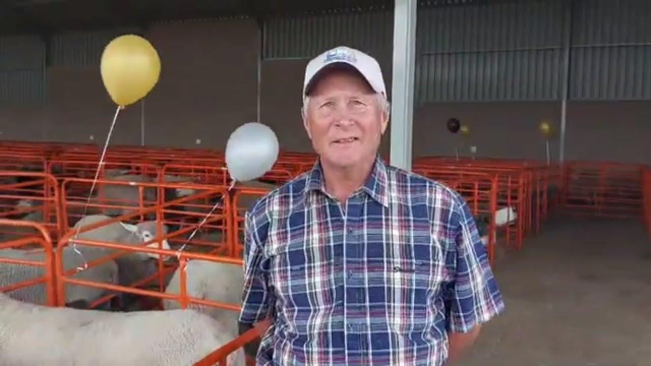 Ons praat met Willem, voorsitter van die Overvaal Ile de France klub, op die voordag van die veiling