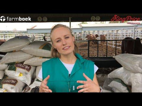 Amelia du Preez die dosent aan die stuur van BeefUPAgriChallenge gee ons meer agtergrond