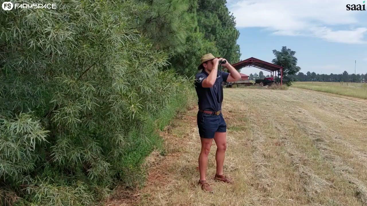 Om in te skryf vir die jaar se Lamb Champs kompetisie gaan na www.lambchamps.co.za.
