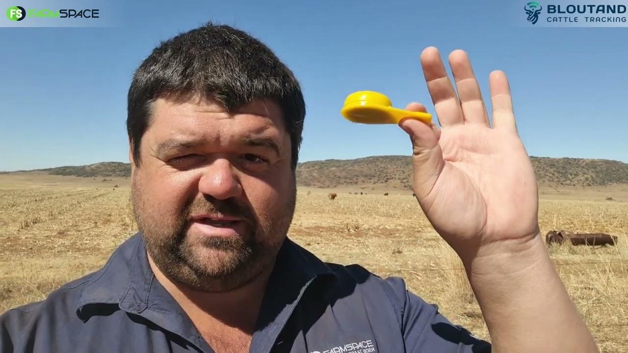 Sukkel jy om te weet of al jou beeste daar is, veral as hulle ver is? Bloutand is dalk net vir jou!