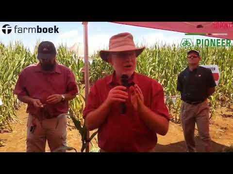 DuPont Pioneer SA maize series - Bob Nielsen Video no 10