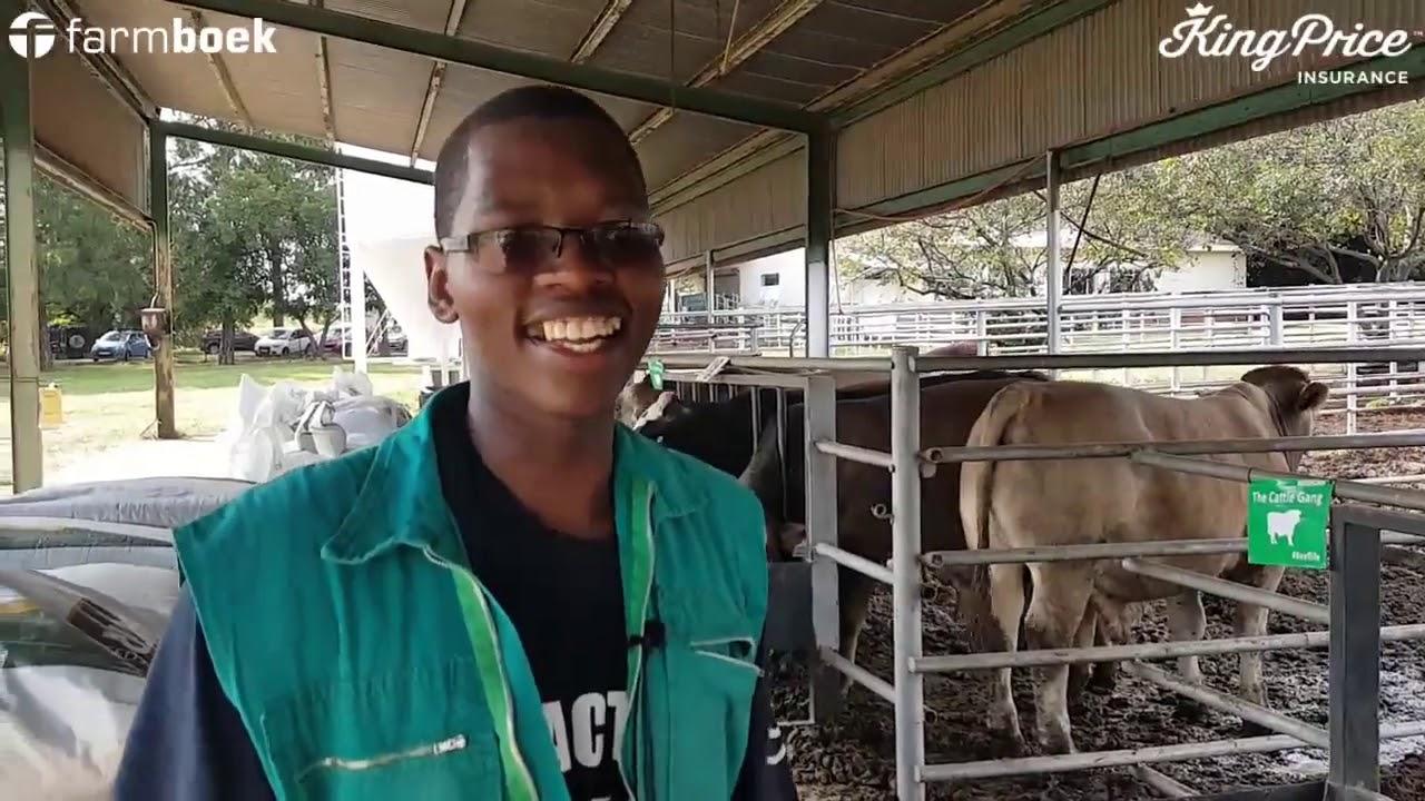 Kubeku Cattle Gang - UP-Agric Feedlot Challenge 2020
