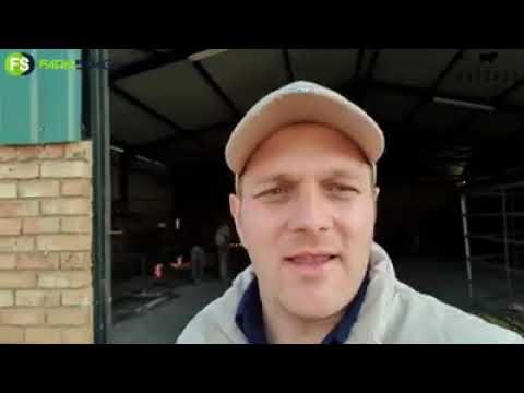 Hotspot Boran en Droughtmaster Veiling - Die Hoogtepunte