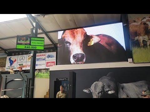 Hurwitz Farming Production Auction Part 1