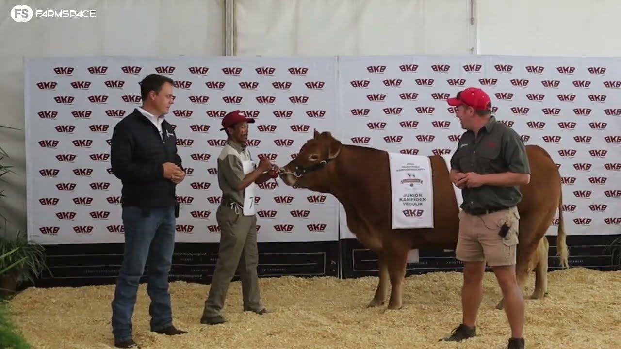 PJ Budler gave us his view on the South Africa Limousin copared to the rest of the world.