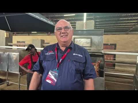 Wat is Lamb Champs Parys en wat beteken die skaap-industrie vir Suid-Afrika tans?