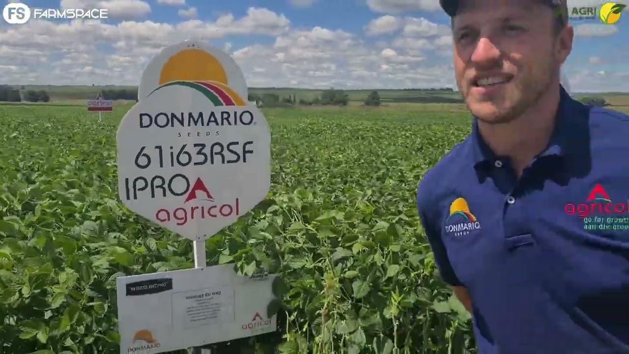 Platrand Soja Boeredag saam met Agricol en VS Agri. Hoe lyk die Don Mario kultivars?