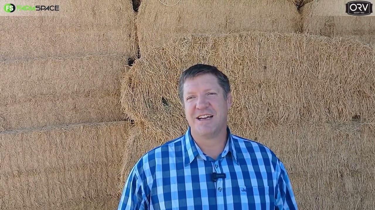 Dié Bakkies Botha by die ORV Skaap Boeredag 2024.