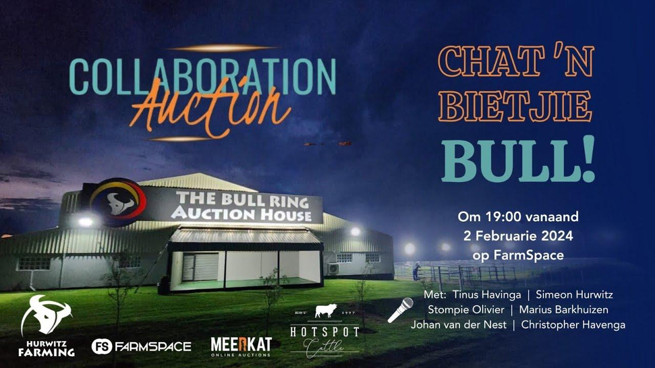 Chat 'n bietjie bull! Cattle discussion live from the collaboration auction.