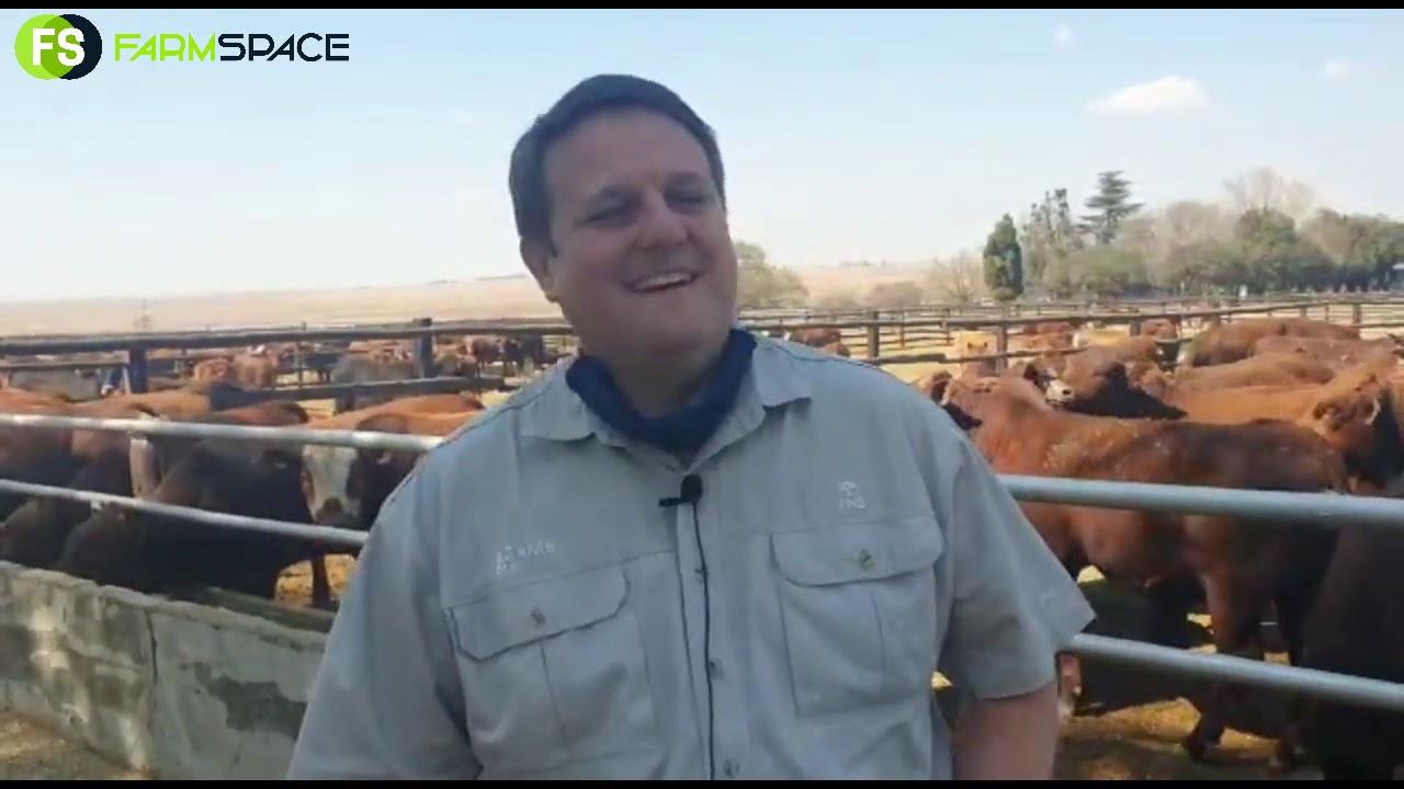 Michael Corbett van FNB Agri Gauteng