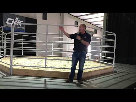Bull breading met Voermol Feeds SA at the Droughtmaster SA Boeredag 2024.