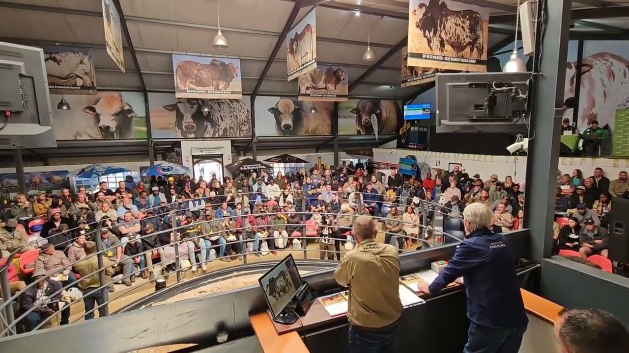 Lot 22, 10 Semenstrooitijies verkoop vir R88 000 per strooitjie.