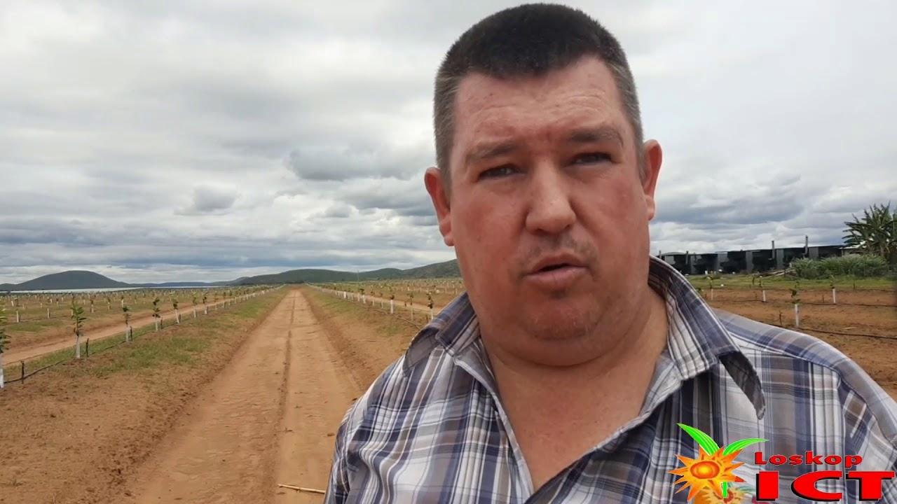 Uitleg van Citrus - Loskop ICT