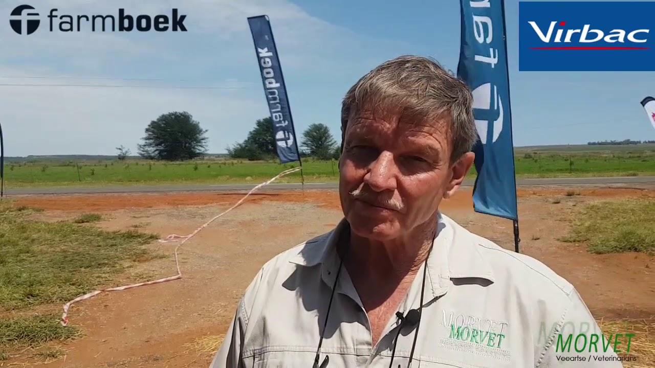 Dr Martin Ferreira Bek en klouseer