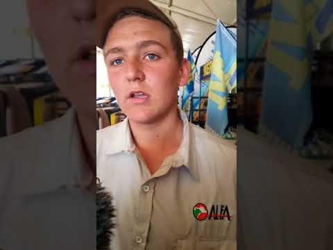 JEUGSKOU at ALFA Expo 2017. Geborg deur FNB.