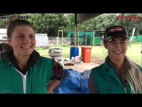 We 'meat' again - UP-Agric Feedlot Challenge 2020