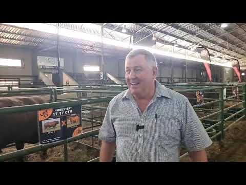 Hoe was die Africa Droughtmaster Genetic Sale 2022
