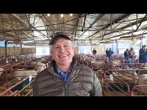 Lodie van Nova Barletta oor die Hatari Dormer Veiling 2023.
