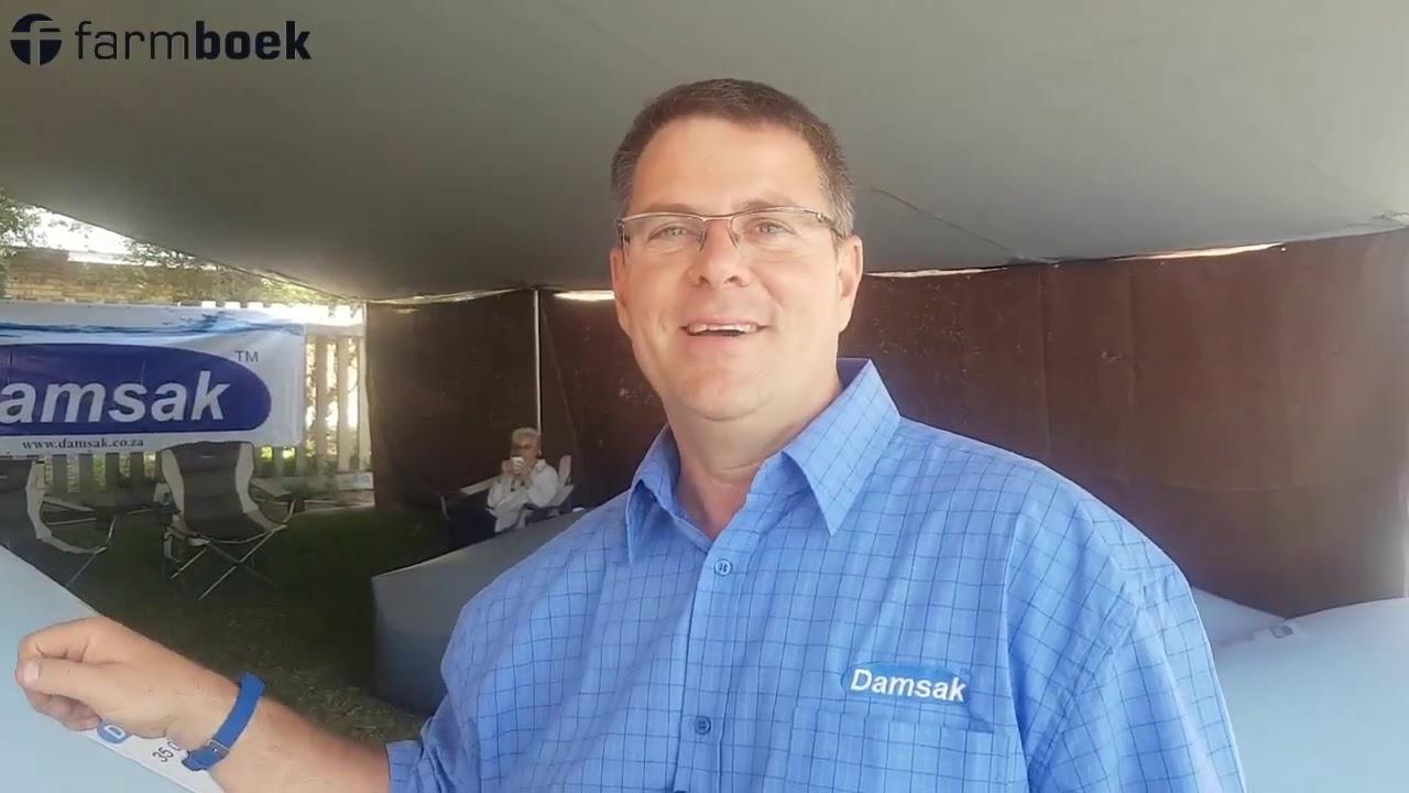 Nampo 2019 - We stopped at Damsak