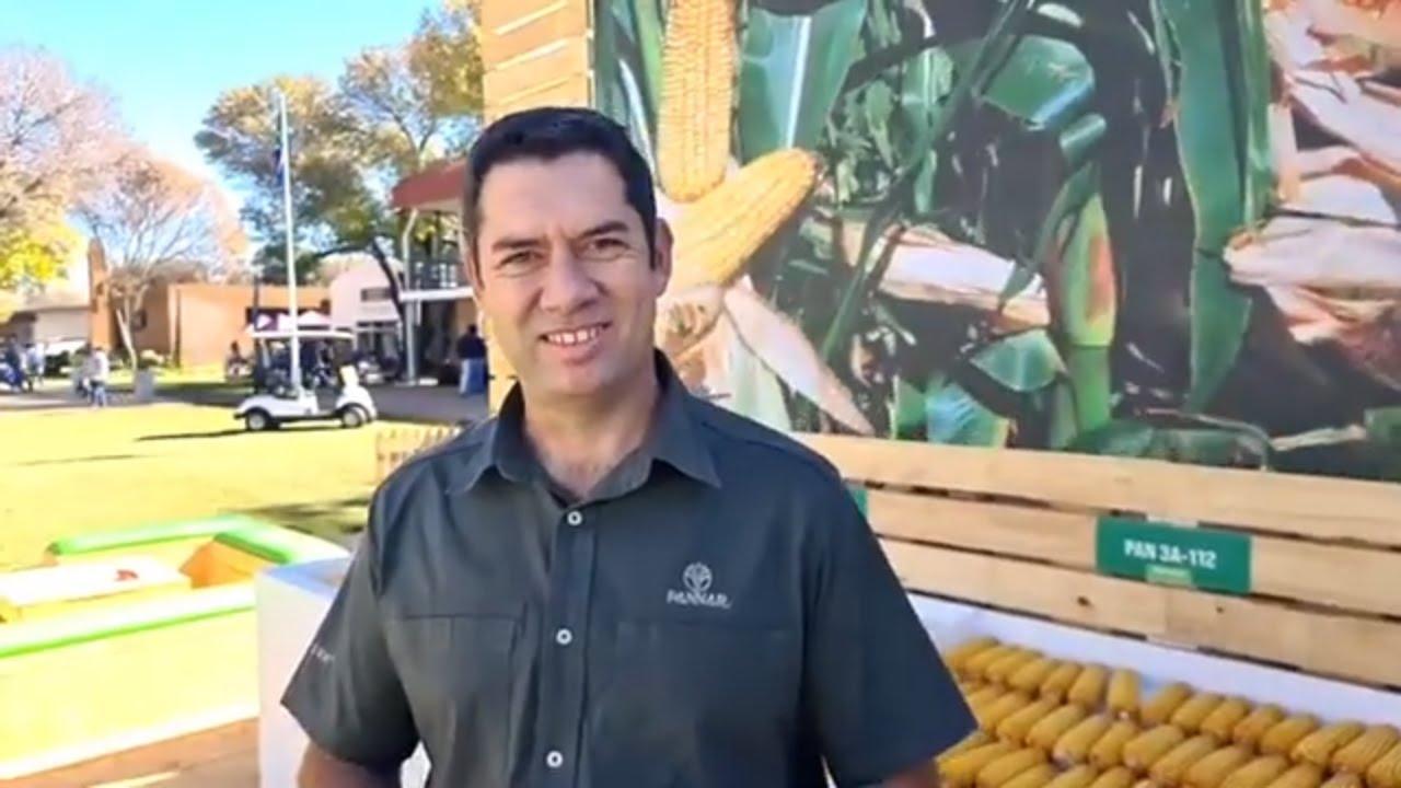 Hoe gaan Pannar Seed seker maak hulle kry steeds die beste saad op jou plaas? - Nampo 2026
