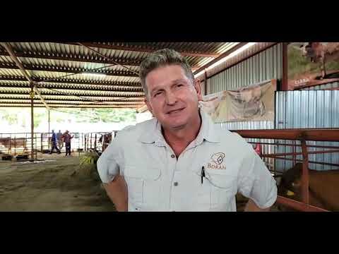 Sale of the Bonts. Ek gesels met Christopher Havenga.