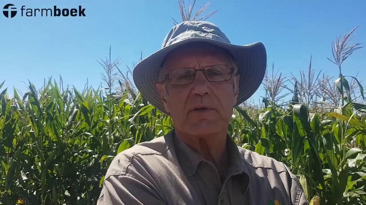 Precision Farmers Day 2019 - United Seeds