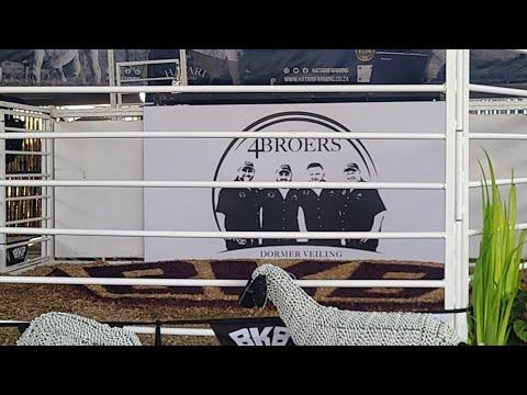 Hatari se 4 Broers Dormer Veiling