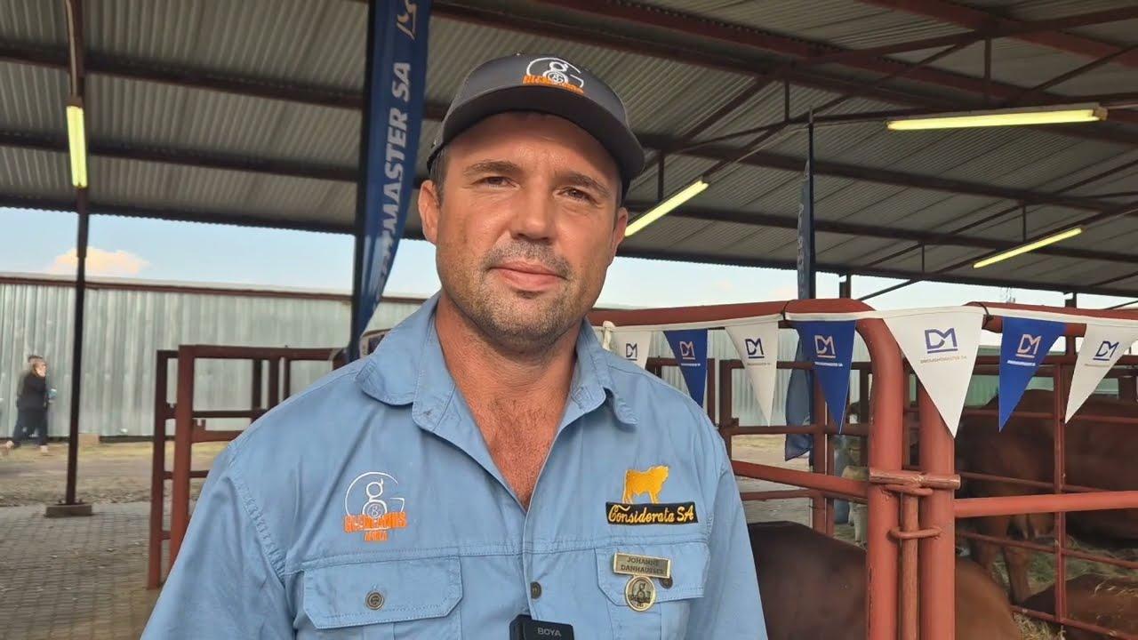 Johann Dannhauser gesels oor die Droughtmaster se plek in Suid-Afrika se vleisbedryf